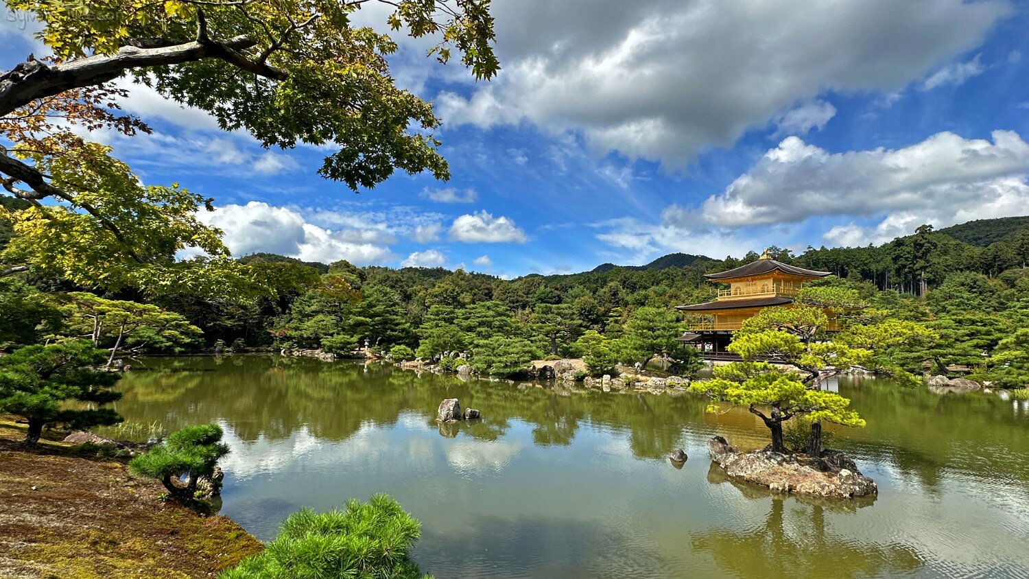 Kinkaku-ji - Kyoto Japon 2025