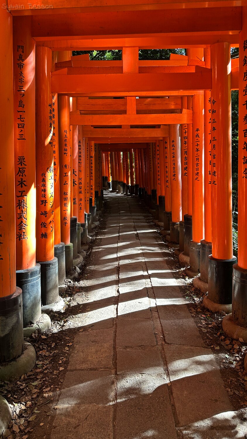 Fushimi Inari - Kyoto Japon 2025