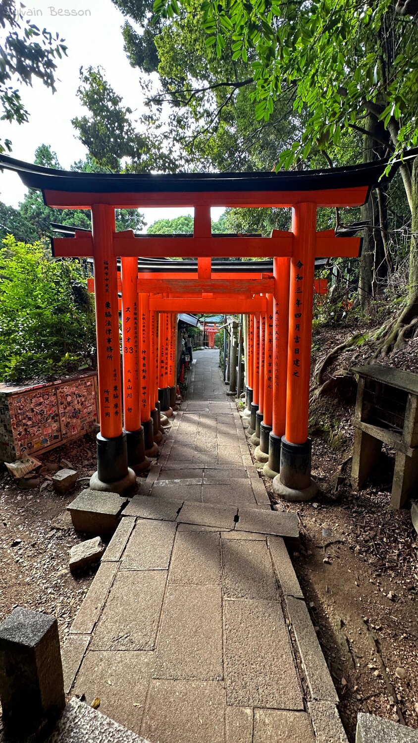 Fushimi Inari - Kyoto Japon 2025
