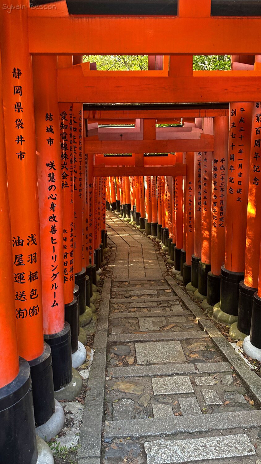 Fushimi Inari - Kyoto Japon 2025