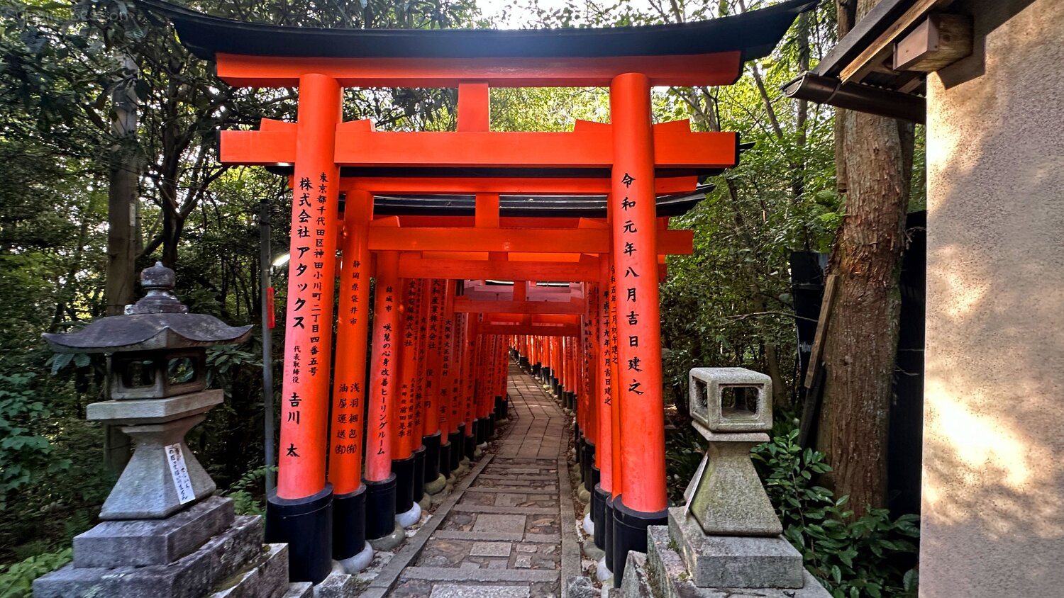 Fushimi Inari - Kyoto Japon 2025