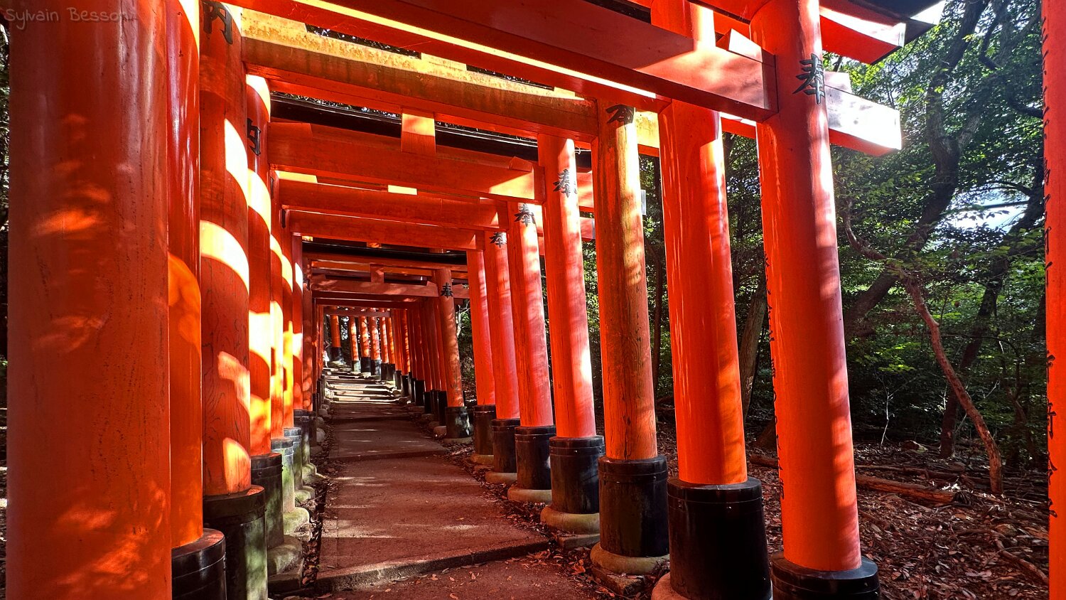 Fushimi Inari - Kyoto Japon 2025