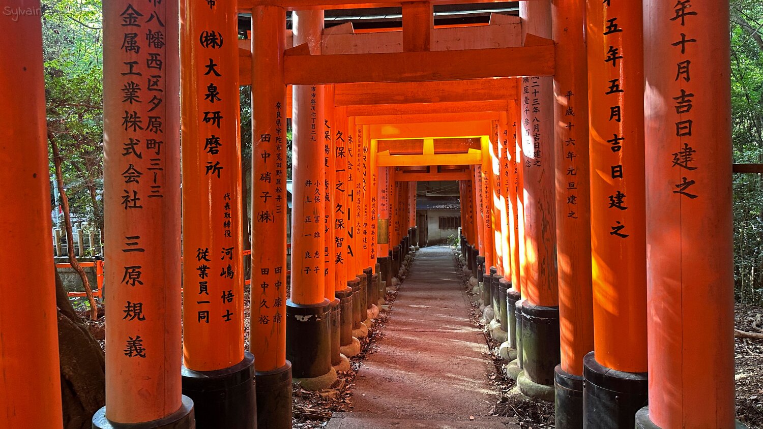 Fushimi Inari - Kyoto Japon 2025