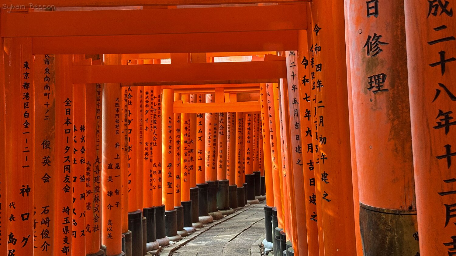Fushimi Inari - Kyoto Japon 2025