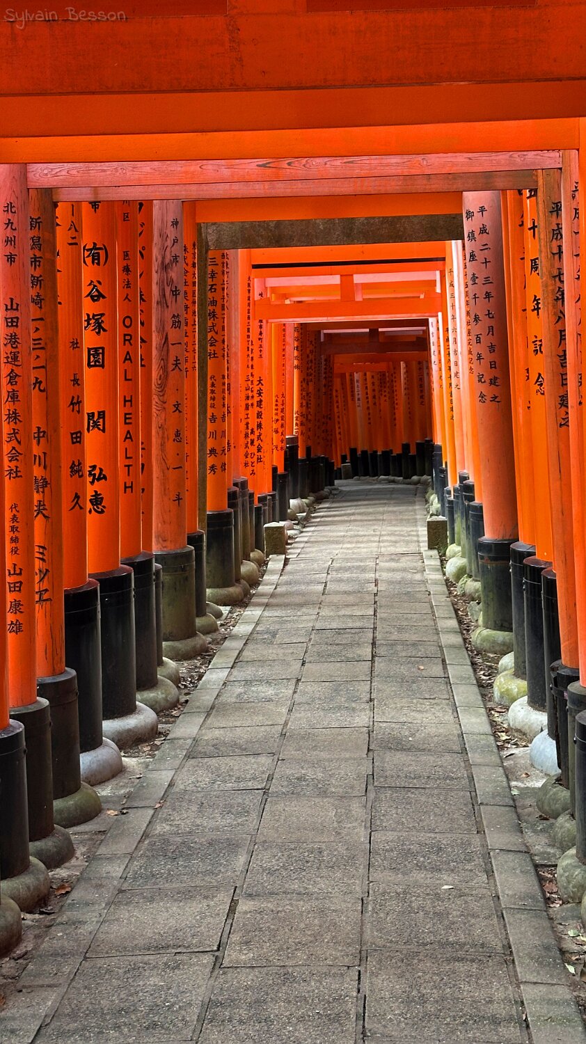 Fushimi Inari - Kyoto Japon 2025