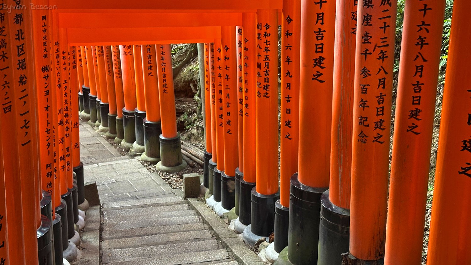 Fushimi Inari - Kyoto Japon 2025