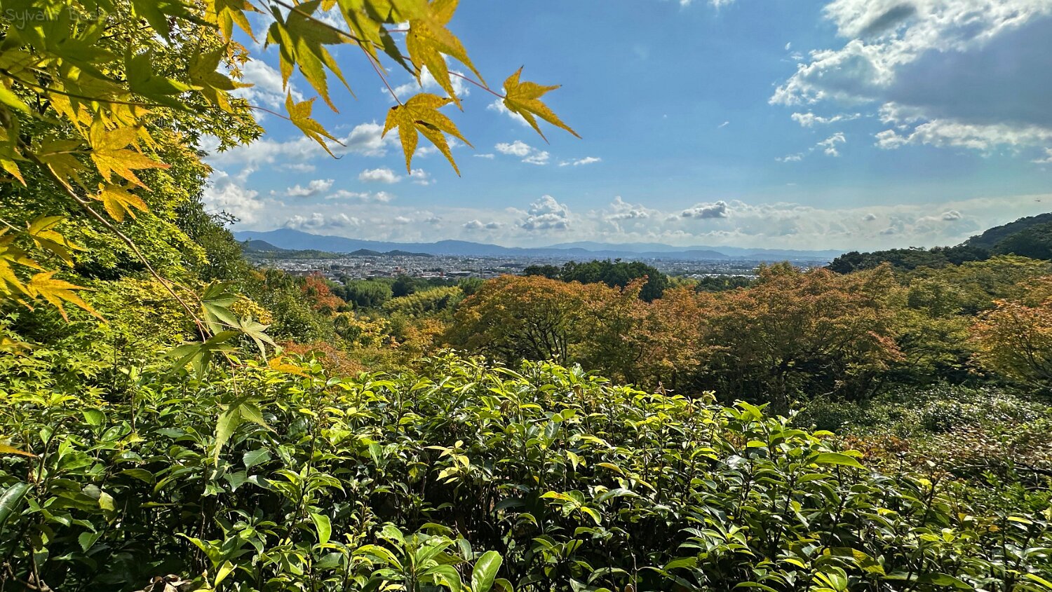 Ōkōchi Sansō - Kyoto Japon 2025