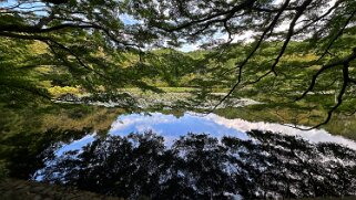 Ryoanji Goryonoshitacho - Kyoto Japon 2025