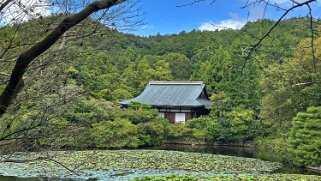 Ryoanji Goryonoshitacho - Kyoto Japon 2025