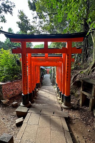Fushimi Inari - Kyoto Japon 2025