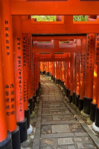 Fushimi Inari - Kyoto Japon 2025