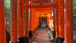 Fushimi Inari - Kyoto Japon 2025