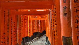 Fushimi Inari - Kyoto Japon 2025