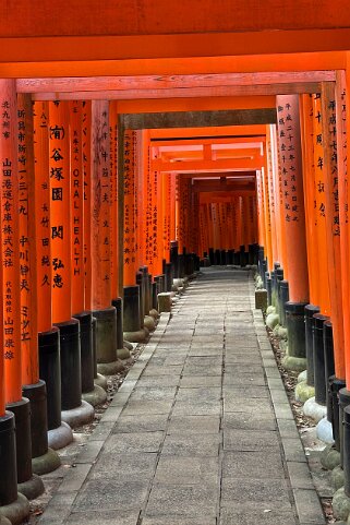 Fushimi Inari - Kyoto Japon 2025