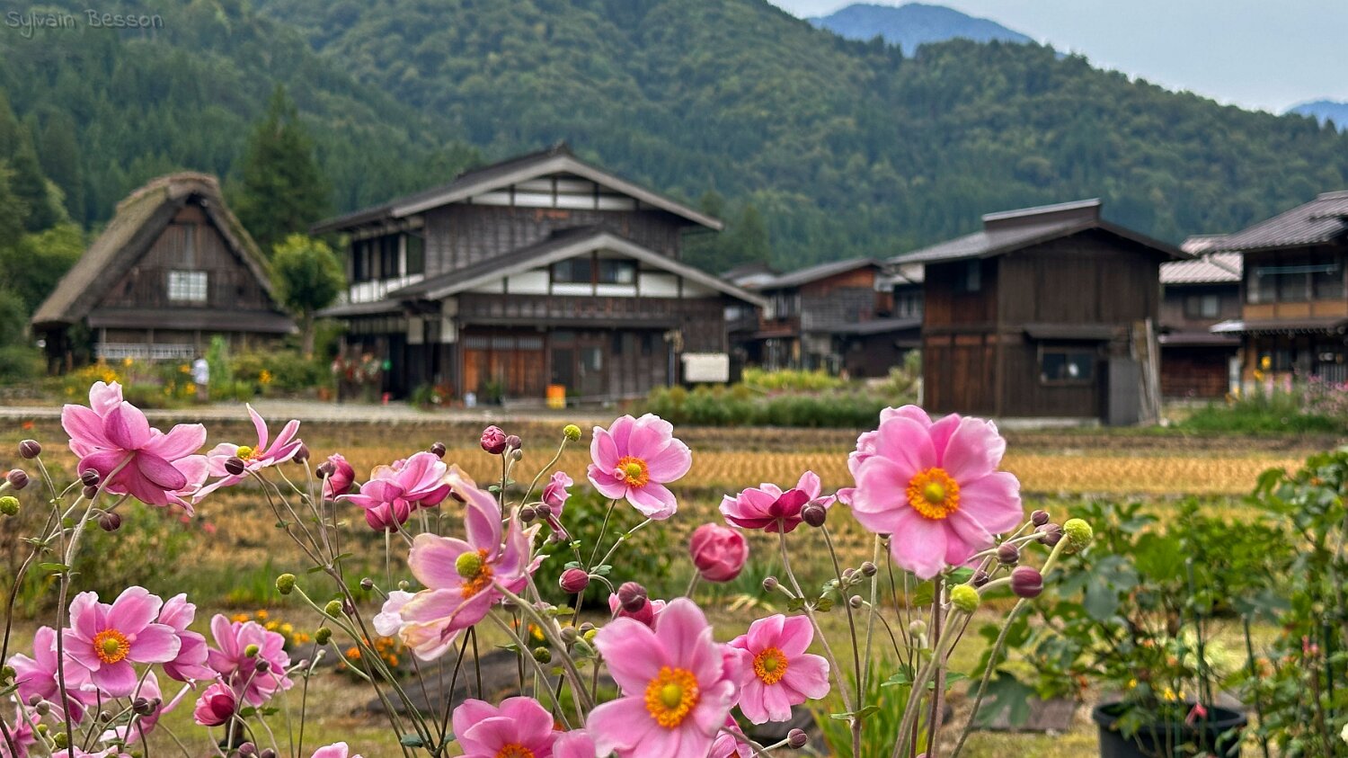 Shirakawa-gō Japon 2025