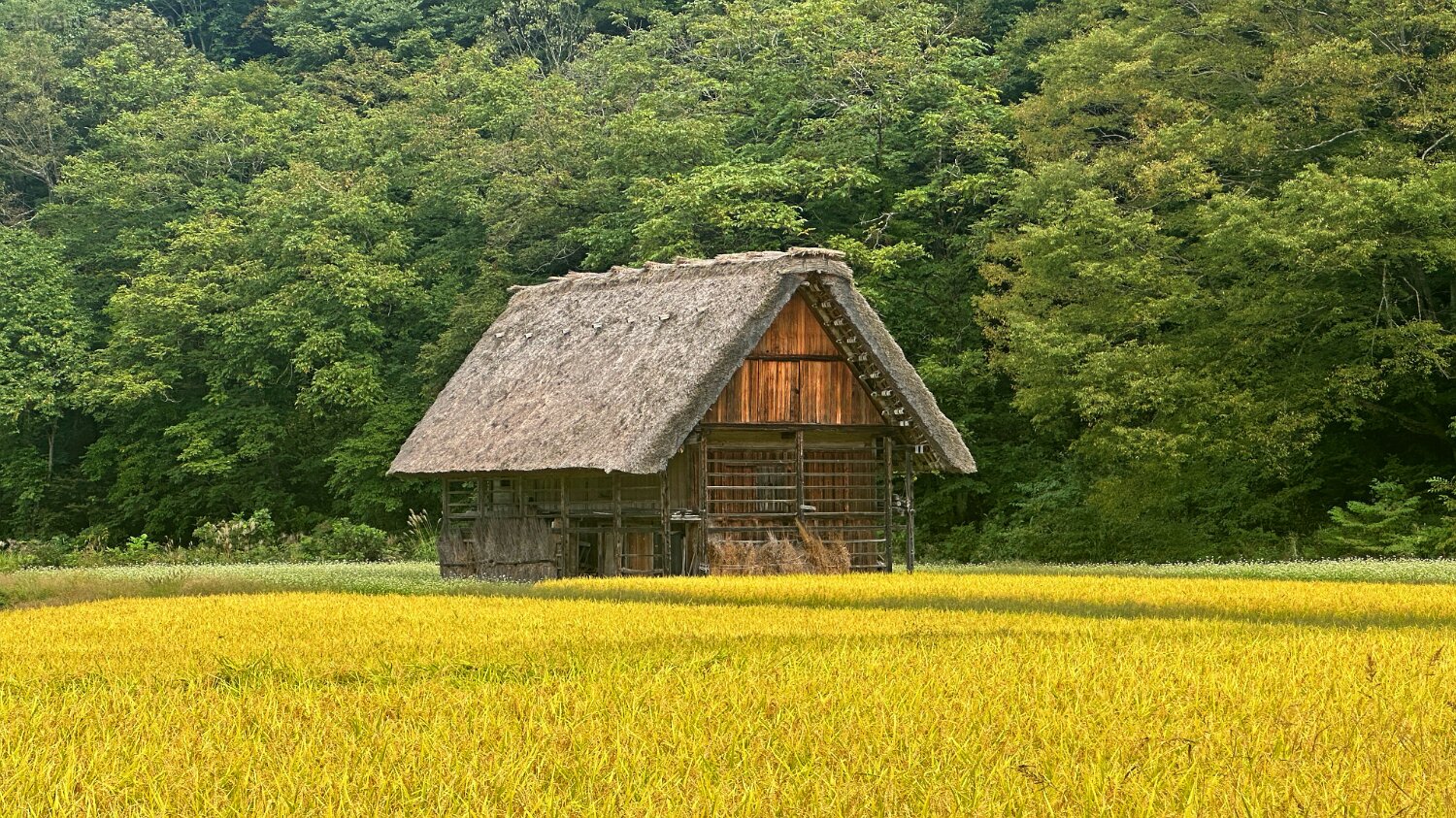 Shirakawa-gō Japon 2025