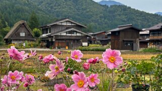 Shirakawa-gō Japon 2025