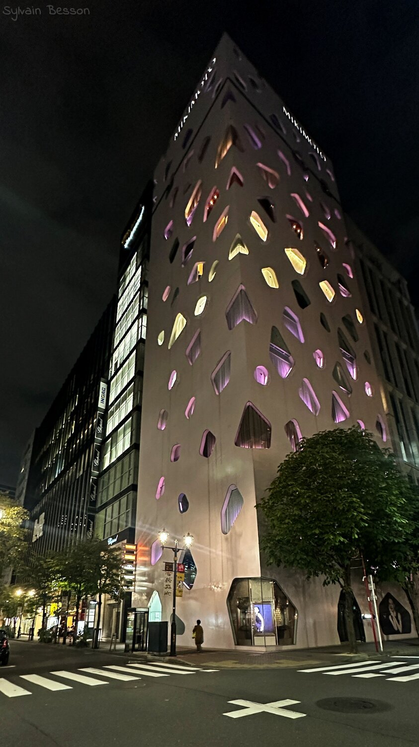 Ginza - Tokyo Japon 2025