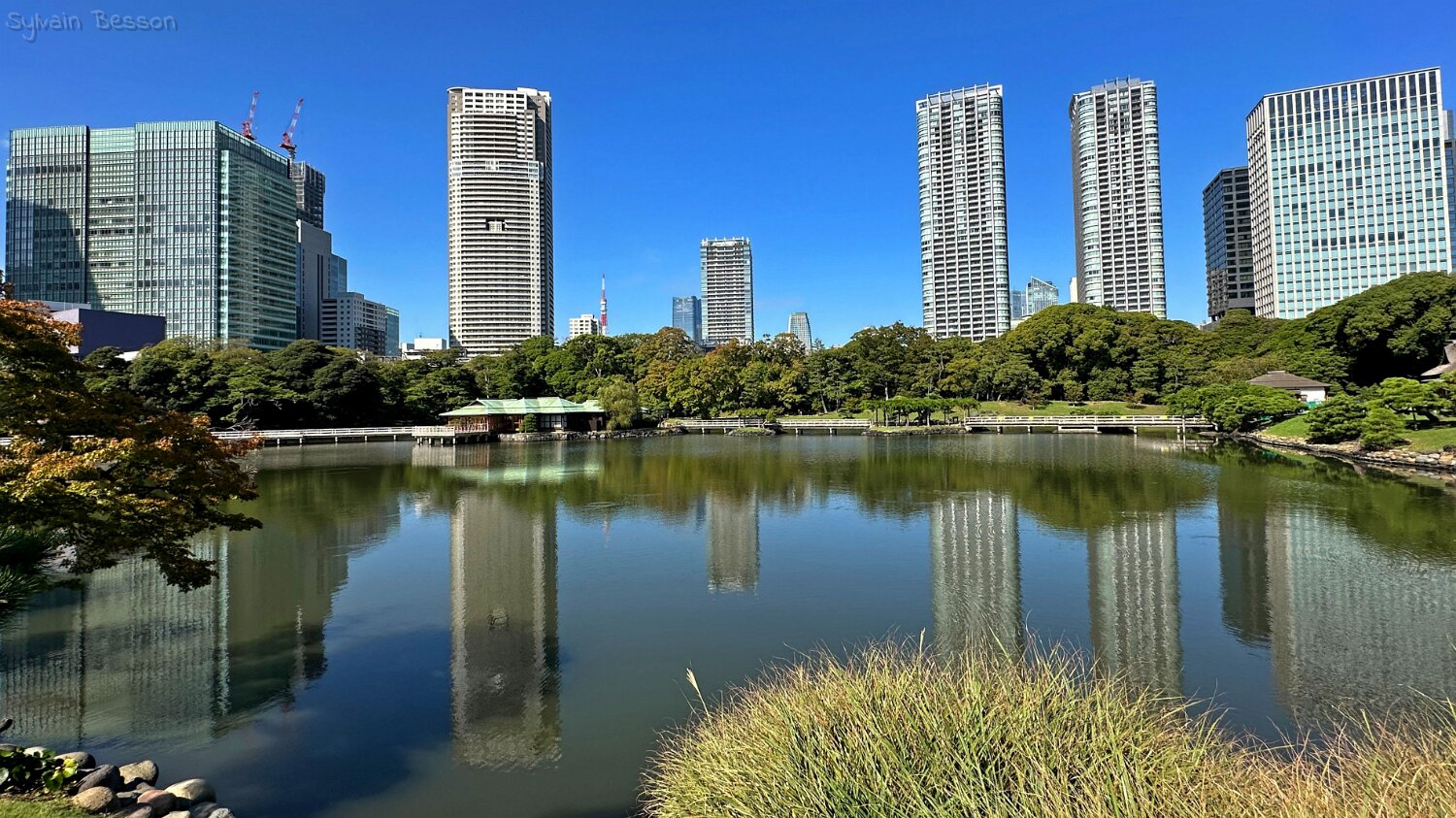 Hamarikyūteien - Tokyo Japon 2025