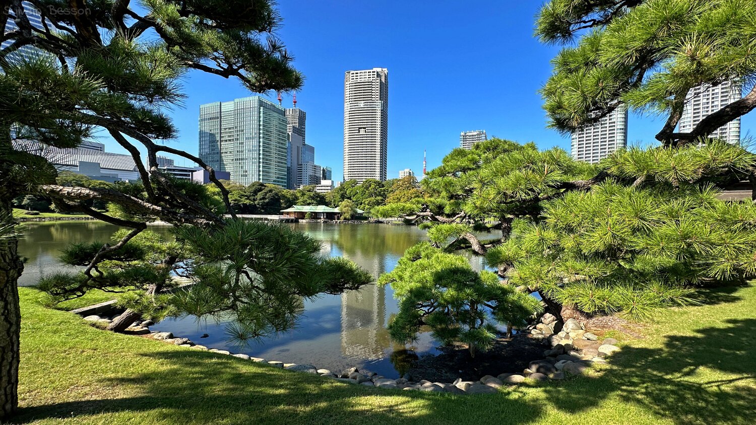Hamarikyūteien - Tokyo Japon 2025