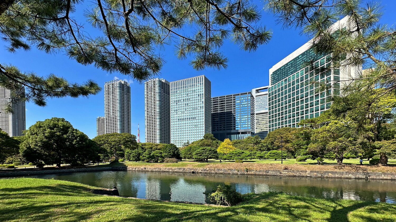 Hamarikyūteien - Tokyo Japon 2025