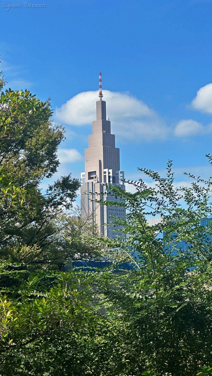 Shibuya - Tokyo Japon 2025