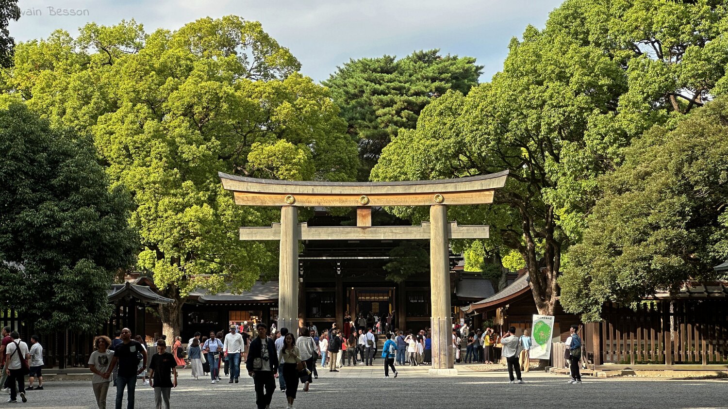 Meiji-jingū - Tokyo Japon 2025