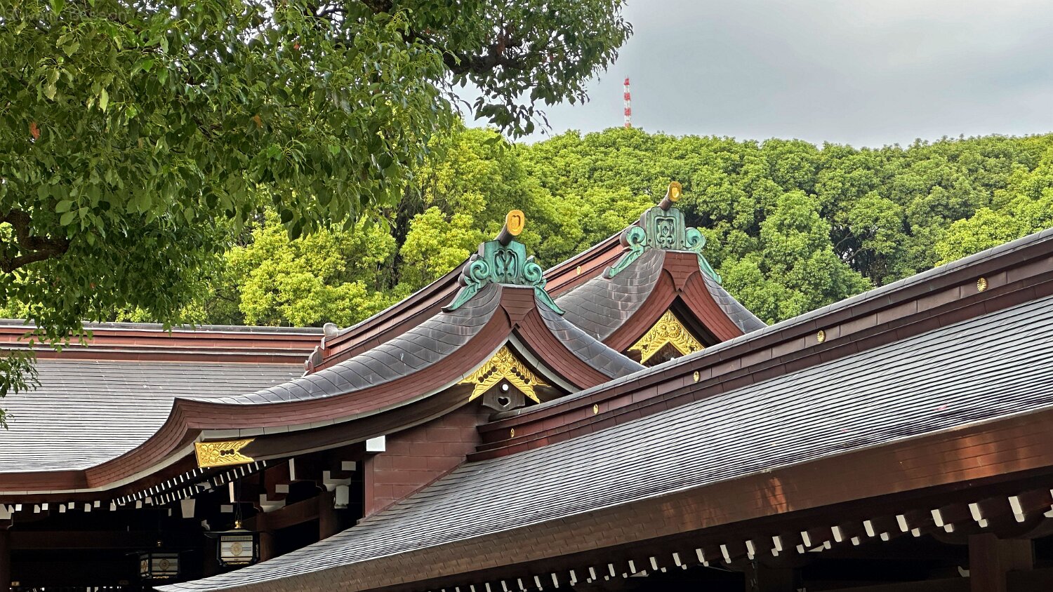 Meiji-jingū - Tokyo Japon 2025