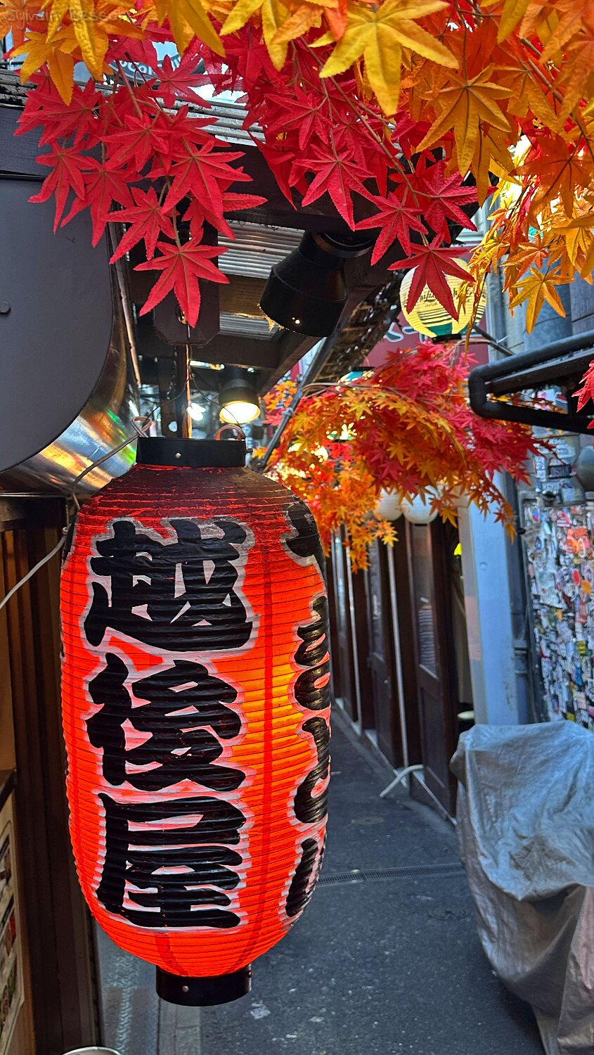 Shinjuku - Tokyo Japon 2025