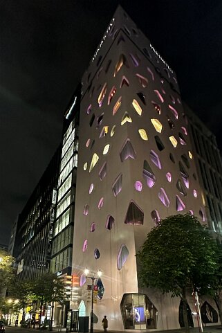 Ginza - Tokyo Japon 2025