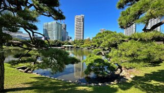 Hamarikyūteien - Tokyo Japon 2025