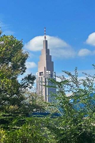 Shibuya - Tokyo Japon 2025