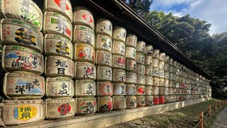 Meiji-jingū - Tokyo Japon 2025