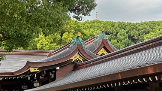 Meiji-jingū - Tokyo Japon 2025