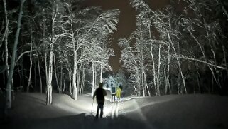 Lyngseidet Norvège 2025