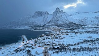 2025 Senja