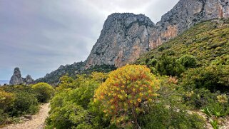 Pedra Longa null
