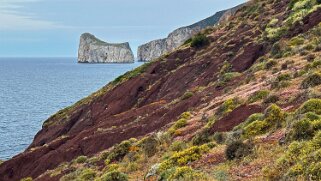 Porto Corallo null