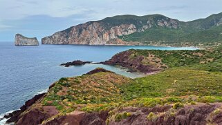 Porto Corallo null