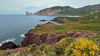 Porto Corallo null