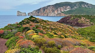 Porto Corallo null