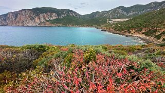 Porto Corallo null
