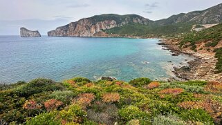 Porto Corallo null