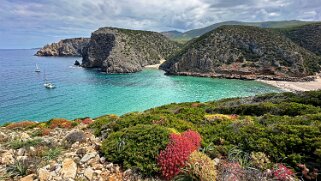 Cala Domestica null
