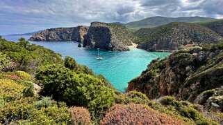 Cala Domestica null