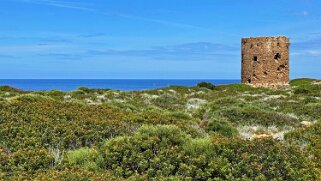 Torre di Cala Domestica null