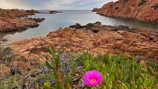 Punta Canneddi null
