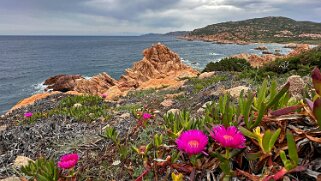 Punta Canneddi null