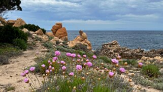 Punta Canneddi null
