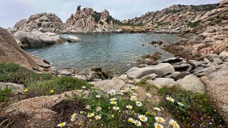 Cala di Mezu - Capo Testa null